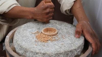 Slavery at Mount Vernon