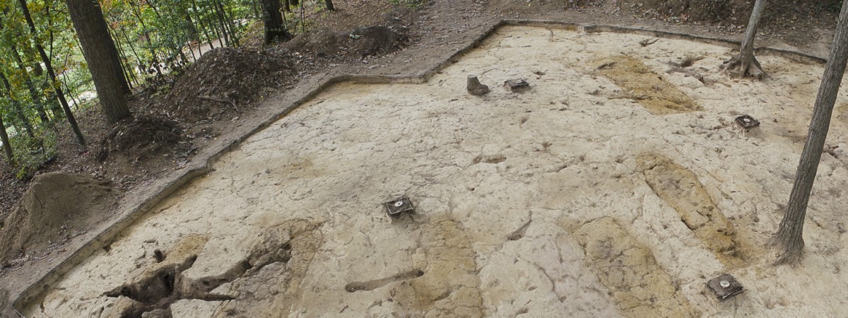 Slave Cemetery Survey