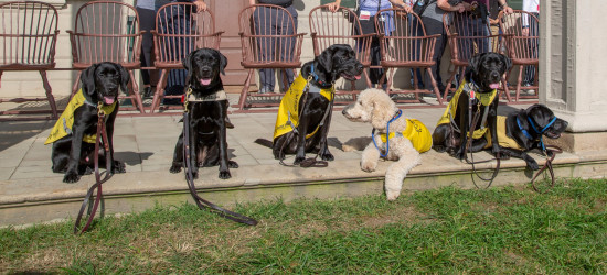 Guide Dogs Visit Mount Vernon
