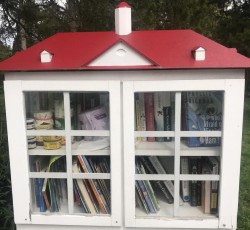 Little Free Library, Hollin Hills off Fort Hunt Road