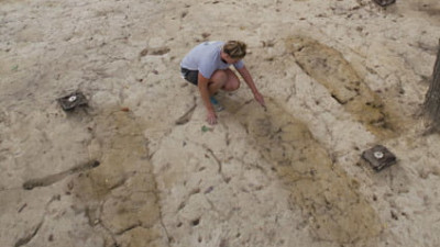 Archaeology in the African American Cemetery