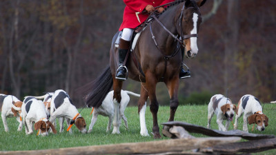 Special Event: Music and Dance of the Hunt