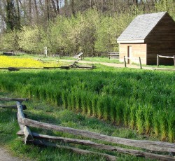 Washington the Farmer