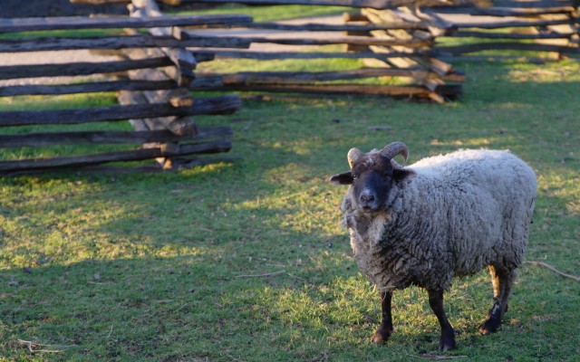 Events Exhibitions Calendar Friday November 11th 2107 · George