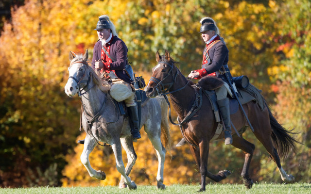 equestrian gps watch