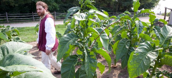 A Teacher's Perspective: Washington the Entrepreneur