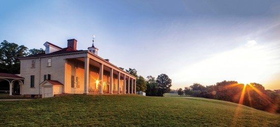 Ice Cream and Mosquitoes: Summertime in Virginia