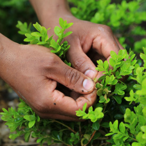Slavery at Mount Vernon Quiz