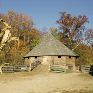 Washington’s Fall Harvest