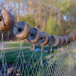 George Washington's Fisheries Quiz