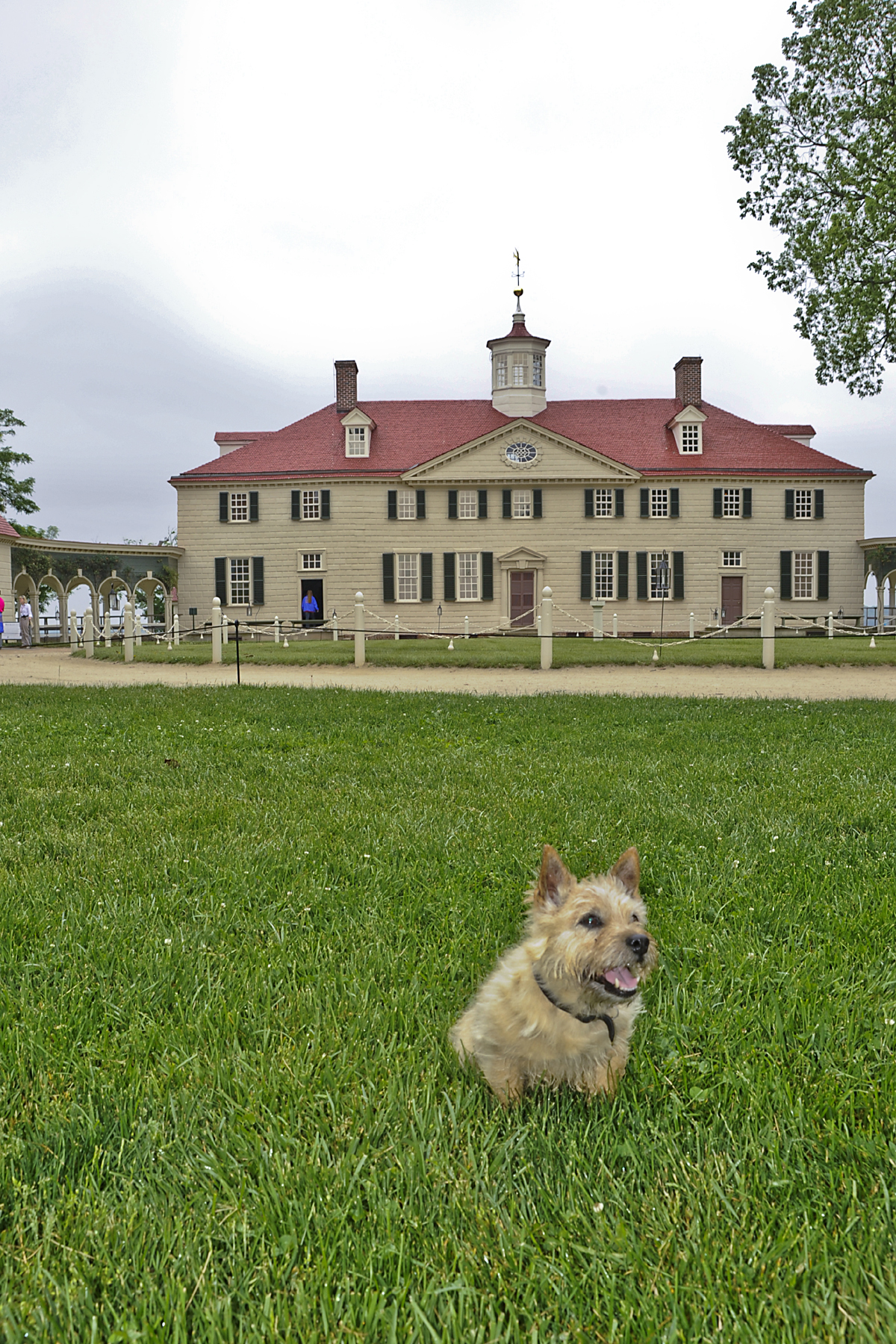 Washington's Estate Springs Into Action April 1! ·