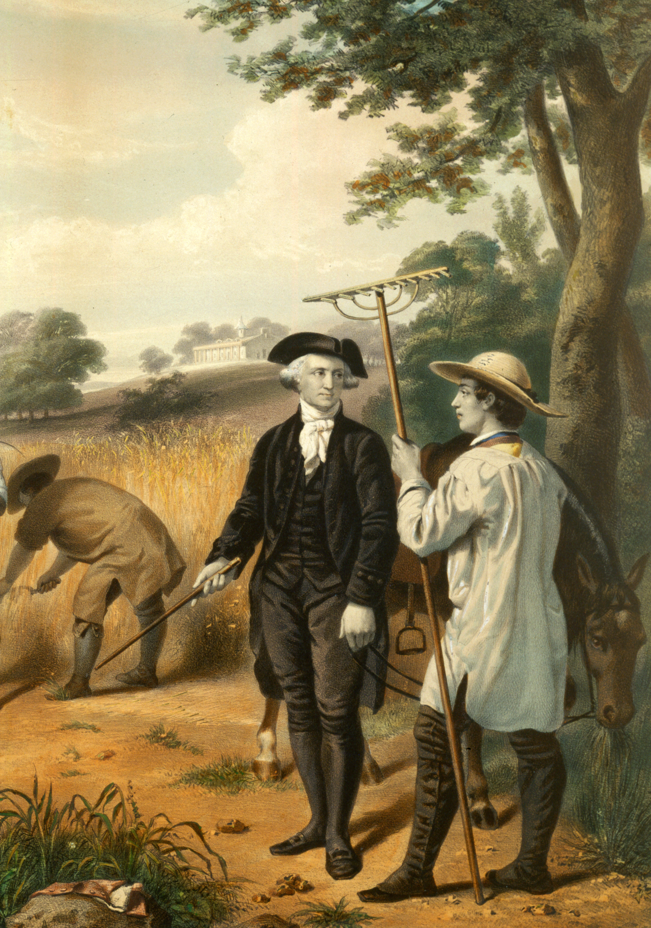 george the farmer