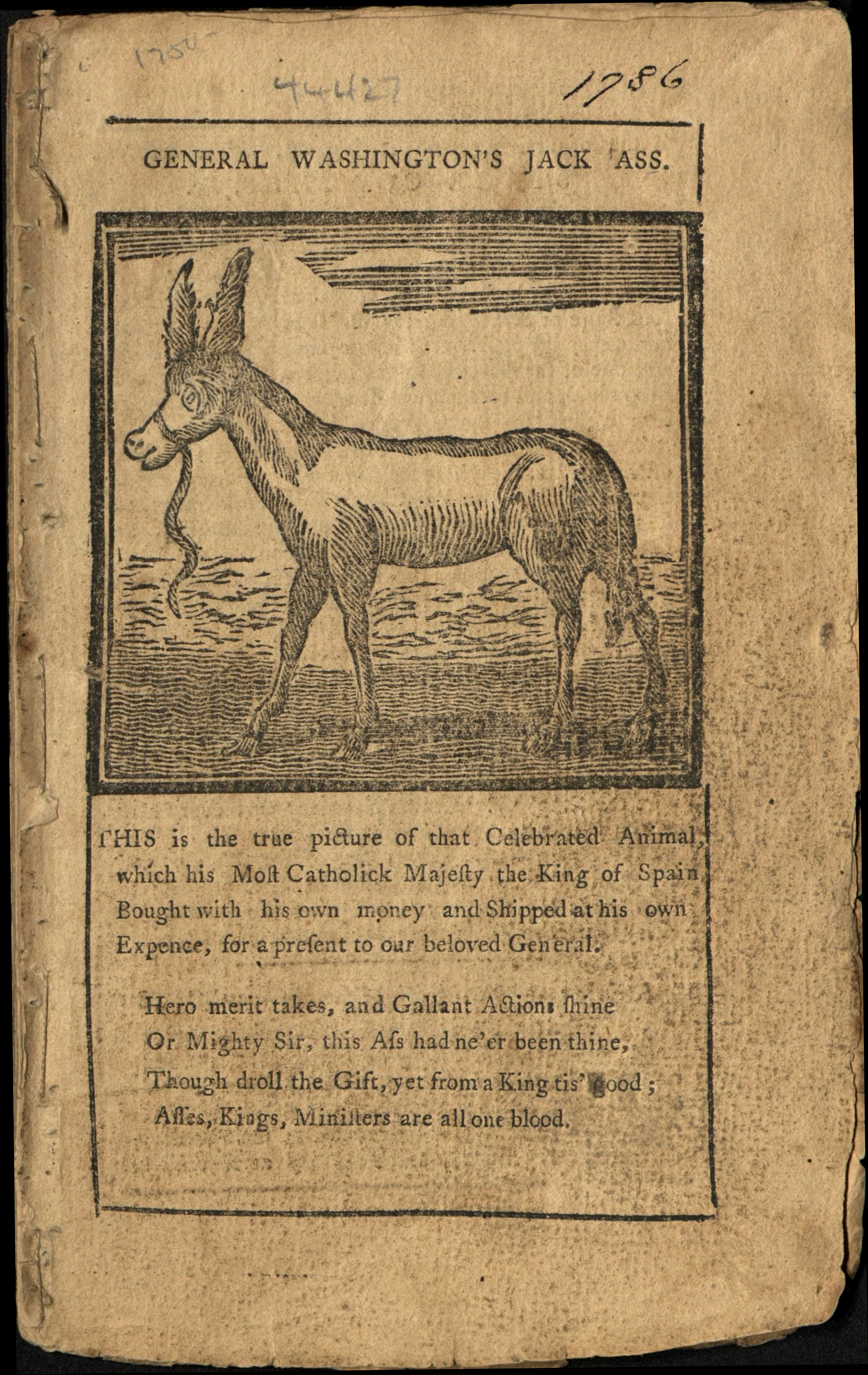image of mule