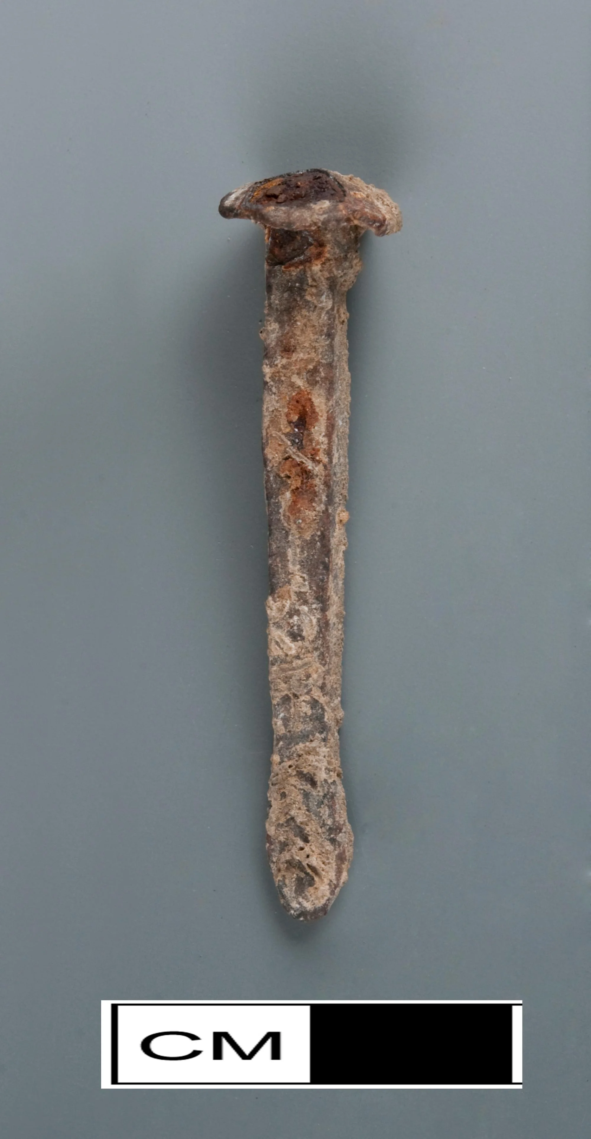 Wrought nail with rosehead and chisel/shovel tip. | George