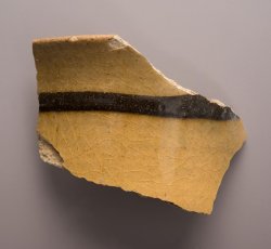 Staffordshire slipware cup.