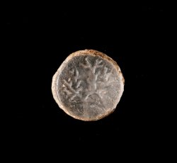 Colorless lead glass sleeve button inlay with molded coral branch design