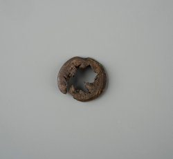2-piece button with wooden back