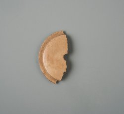 Carved bone coat button back with beveled edge and one eye.