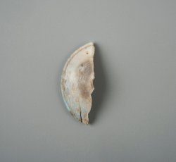 Carved bone button back with beveled edge and one eye.