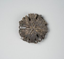 Coat button with gilded star pattern of metallic thread.