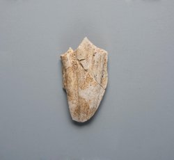 Fluted tobacco pipe bowl fragment.