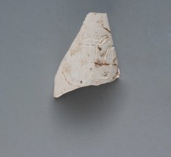 Tobacco pipe rim and bowl fragment with stamped "WM" with botanical inside half-circle.