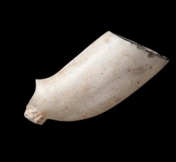 Tobacco pipe with molded &quot;W&quot; and &quot;M&quot; with crown either side of heel and stamped &quot;WM&quot; with botanical inside half-circle on bowl. 