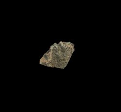 Stamped copper alloy button face with star, geometric, and floral design.