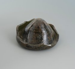 Dark green wine bottle conical base.