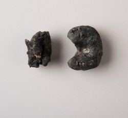 Two corn cob fragments. 