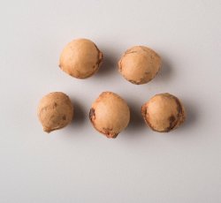 5 complete cherry pits. 