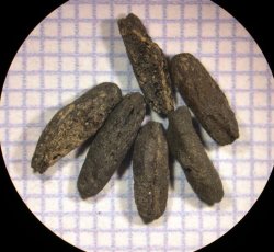 35 complete oat seeds. 