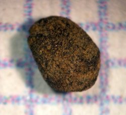 Complete huckleberry seed. 