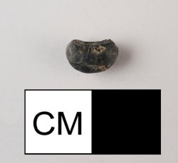 Complete common bean. 