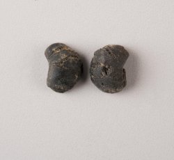 one cowpea, two fragments. 