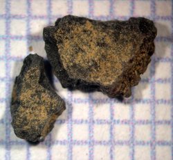 Cherry (Prunus sp.) pit.