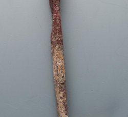 Wrought nail with rosehead and chisel/shovel tip.