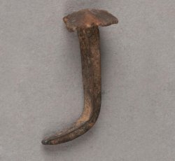 Wrought nail with rosehead and pointed tip.