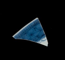 Canton porcelain plate, rim sherd.