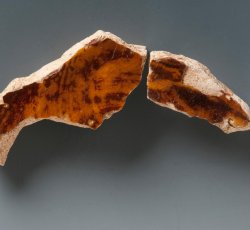 North Midlands/Staffordshire slipware hollowware BASE C.