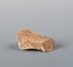 Bone needle or pin case fragment.