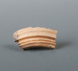 Bone needle or pin case fragment.