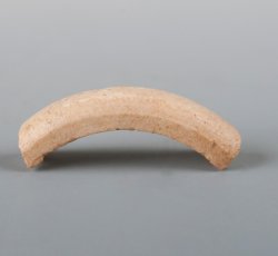Possible bone needle or pin case fragment. 