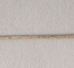 Straight pin with machine-stamped head.