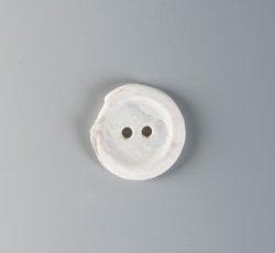 Two-holed shell button.
