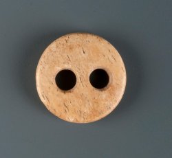 Two-holed bone button.