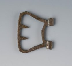 Buckle loop/hook.