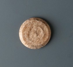 Bone button blank/mold.