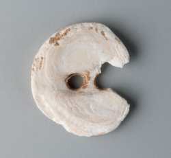 Two-holed shell button.