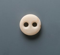 Two-holed porcelain button.